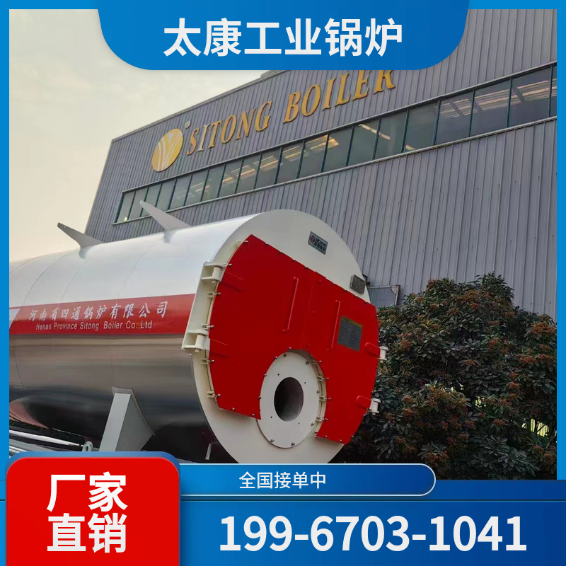 延安小型电锅炉